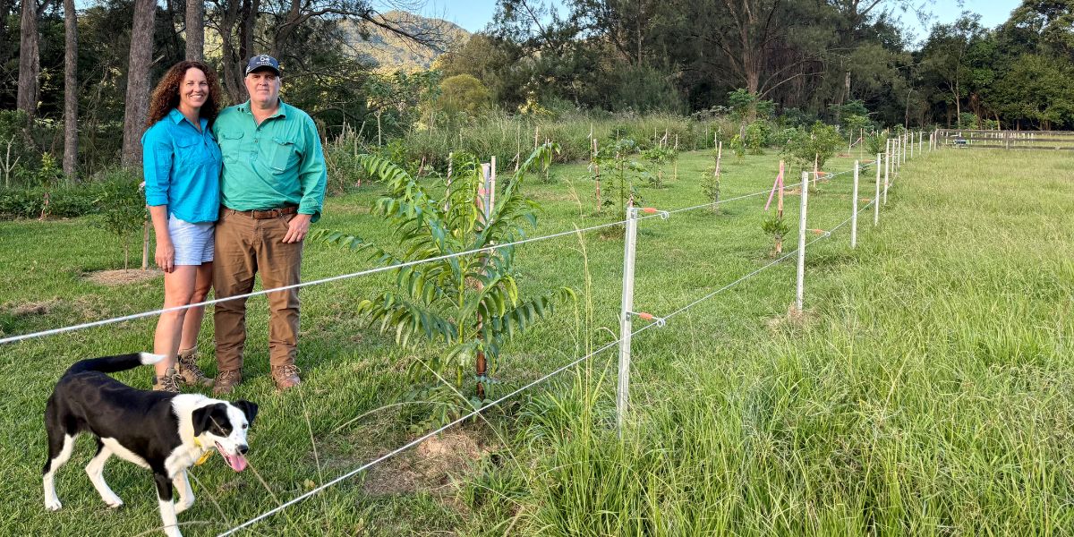 Habitat Revival Inc members “Hidden Valley” feature in local news for Rivercare