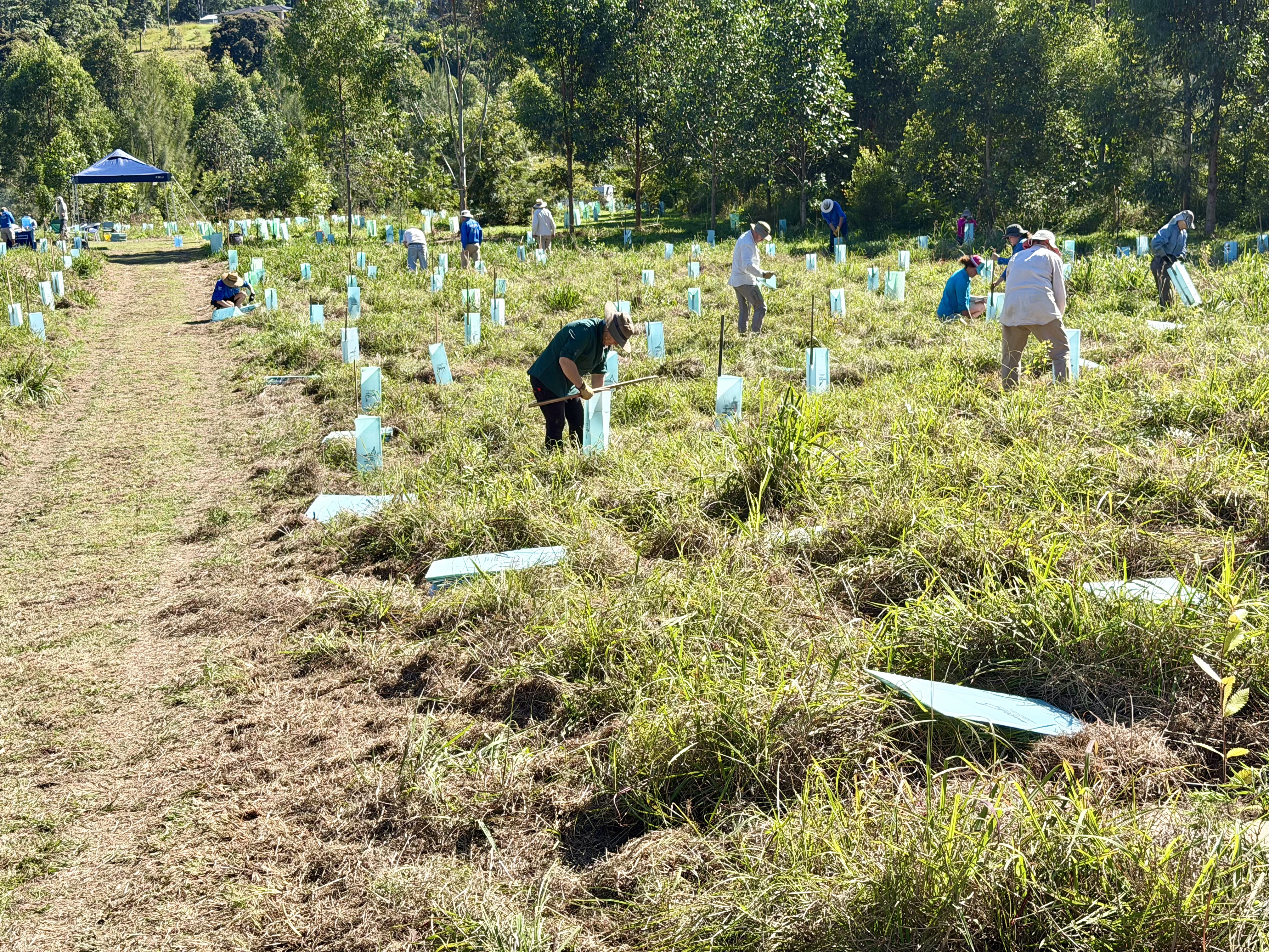 Riparian Planting – Narlu – 9 May 2026